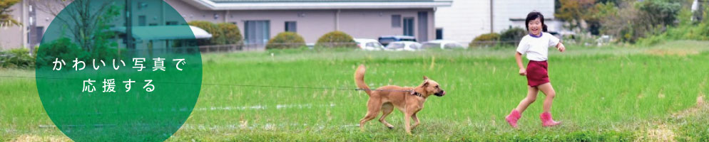 活動で支援する