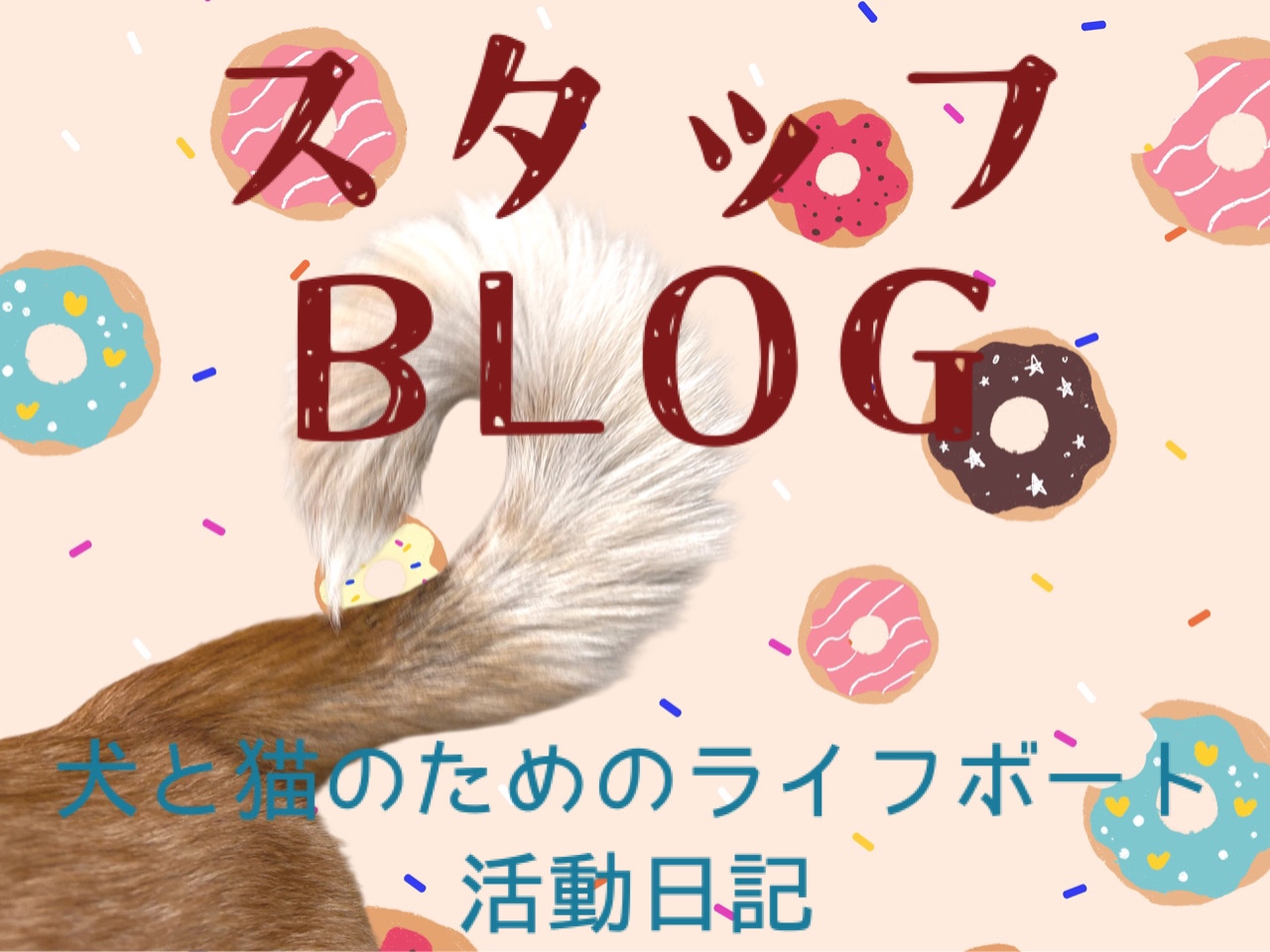 スタッフブログ ~犬と猫のためのライフボート活動日記~