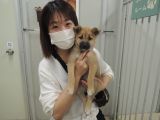 CD3513の里親決定写真