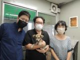 CD3646の里親決定写真