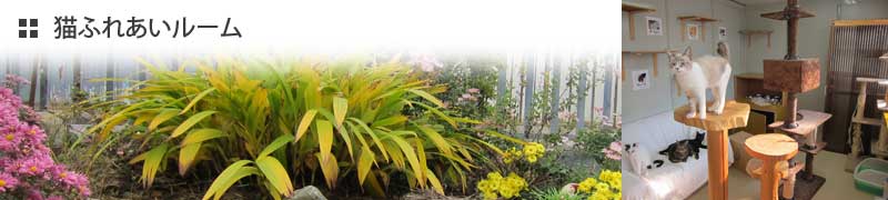 猫ふれあいルーム